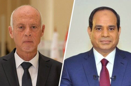 الرئيس التونسي يبحث مع نظيره المصري الوضع في ليبيا