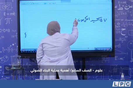 دروس منهجية، مادة العلوم للصف السابع | أهمية عملية البناء الضوئي