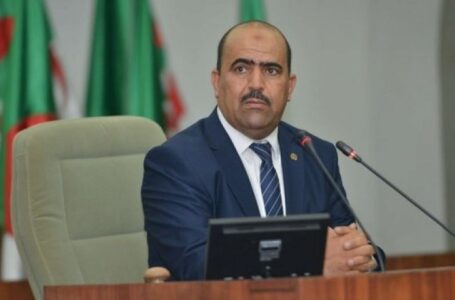 رئيس البرلمان الجزائري : موقفنا ثابت حيال الأزمة الليبية