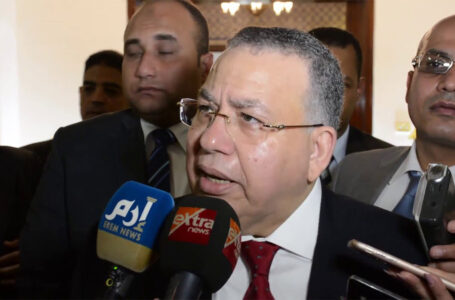 وكيل النواب المصري: تفويض السيسي ليس إعلان حرب
