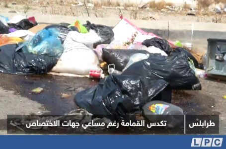 تقرير | تكدس القمامة رغم مساعي جهات الاختصاص