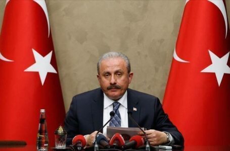 البرلمان التركي يدعو منتهكي قرارات الأمم المتحدة إلى احترام الشرعية في ليبيا