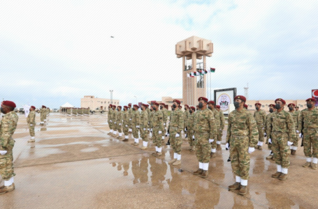 وزارة الدفاع التركية: وحدات الجيش النظامي الليبي ترقى إلى المعايير الدولية