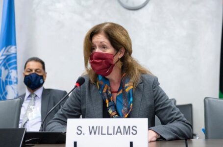 وليامز أمام مجلس الأمن: هناك تقدم محرز في كل مسارات الحوار