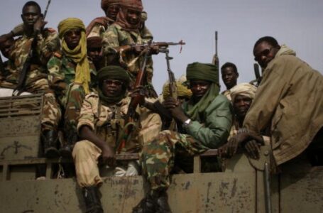 وزير الدفاع التشادي: جنوب ليبيا معقل للمتمردين التشاديين