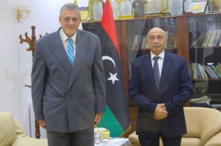صالح وكوبيش يشددان على أن تجرى انتخاب الرئيس القادم بشكل مباشر