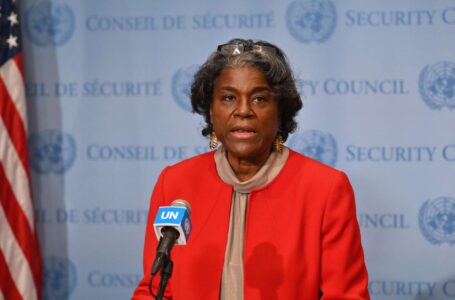 مندوبة الأمم المتحدة: مغادرة المرتزقة لييبا أولوية لإجراء الانتخابات