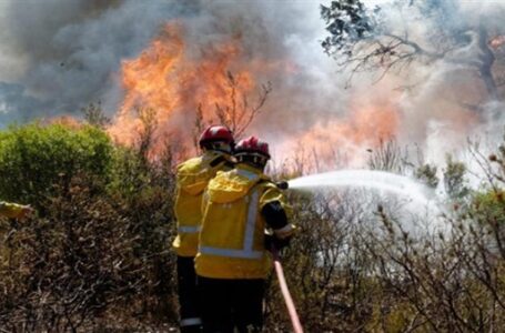 إيطاليا ترسل فريقا للمساعدة في إخماد الحرائق شرقي البلاد