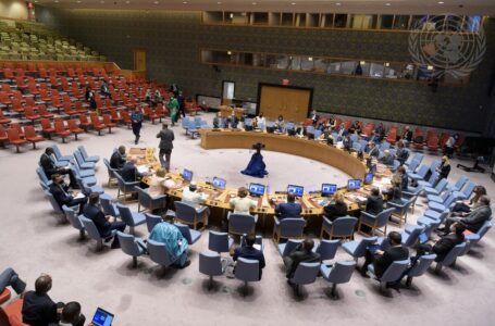 لجنة مجلس الأمن الخاصة بليبيا تجتمع مع فريق الخبراء الأممي
