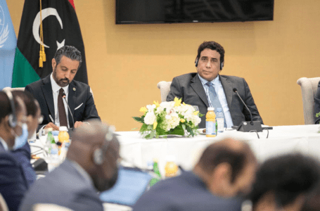 المنفي يؤكد على أهمية الدور الإفريقي في حل الأزمة الليبيـة