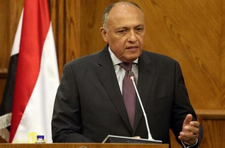 مصر تحذر من وجود المرتزقة في ليبيا وتطالب المجتمع الدولي بالتحرك