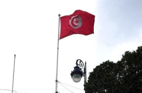 تونس تجدد دعمها لانتخابات ديسمبر المقبل