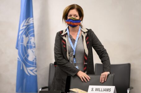 وليامز: الأمم المتحدة تدعم إجراء الانتخابات في موعدها المحدد