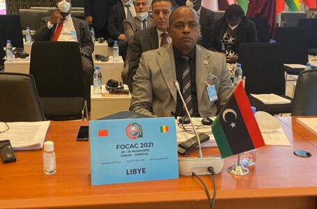 الخارجية تناشد المجتمع الدولي مكافحة الهجرة غير القانونية
