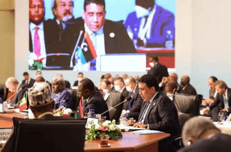 المنفي: نسعى لأن تكون ليبيا محور تطور العلاقات التركية الافريقية