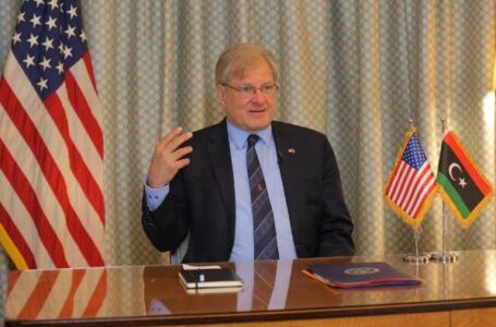 السفير الأمريكي: دخول مرشحين جدليين أوقف سير العملية الانتخابية