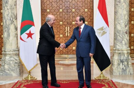 السيسي وتبون يؤكدان على عدم السماح بإفشال إجراء الانتخابات في ليبيا