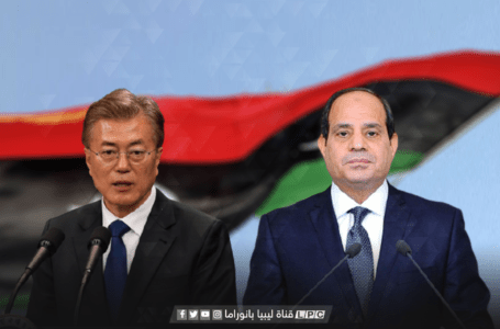 السيسي: نواصل جهودنا مع الأطراف الليبية لإجراء الانتخابات
