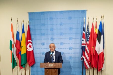 مندوب تونس بالأمم المتحدة: لم ندخر جهدا في مساعدة ليبيا وفلسطين