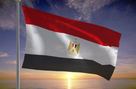 القاهرة: نثق في قدرة الحكومة الجديدة على تنفيذ خارطة الطريق