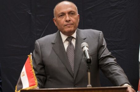 الخارجية المصرية: نتفاعل مع الشركاء الدوليين للوصول إلى الانتخابات في ليبيـا