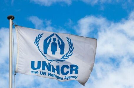 مفوضية الأمم المتحدة للاجئين توطن 785 لاجئا من ليبيا