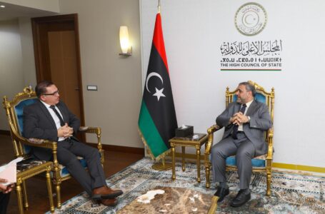 مالطا تؤكد دعمها إجراء انتخابات نزيهة في ليبيا