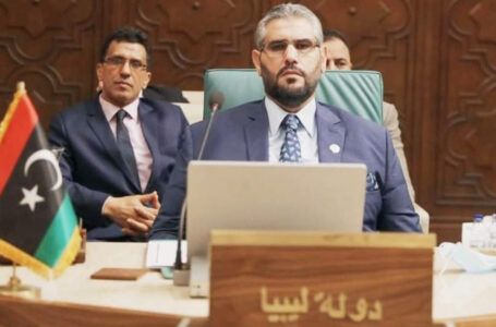 مندوب ليبيا في الجامعة العربية يشدد على ضرورة احترام سيادة الدول