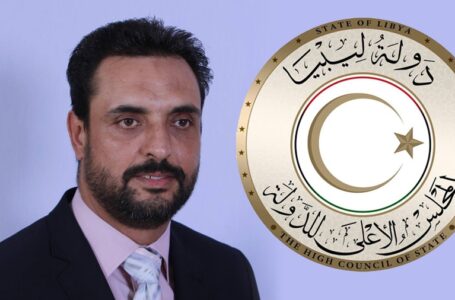 كرموس: مجلس الدولة قد يقاطع اجتماعات القاهرة بسبب الاختلاف مع النواب