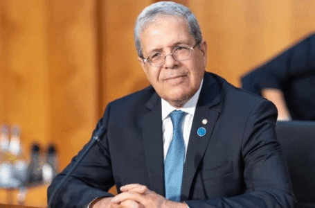 وزير الخارجية التونسي عثمان الجرندي يؤكد وقوف بلاده مع ليبيـا للخروج من أزمتها