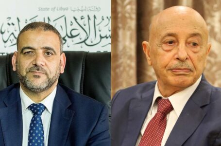 وليامز تدعو رئيس المجلس الأعلى للدولة للقاء عقيلة صالح بالقاهرة