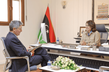 المنقوش والسفير الألماني يبحثان تطورات الوضع السياسي في ليبيا