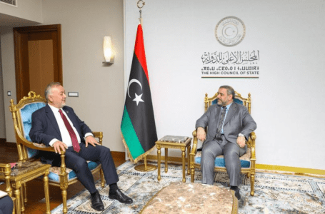 المشري يناقش مع السفير التركي كنعان يلماز تطورات المشهد السياسي الليبـي