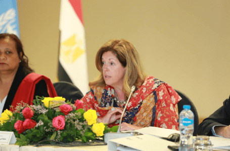 وليامز: اجتماع القاهرة هو الفرصة الأخيرة للتوافق على الإطار الدستوري