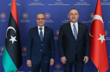 النائب بالمجلس الرئاسي عبد الله اللافي يلتقي وزير الخارجية التركي في أنقرة