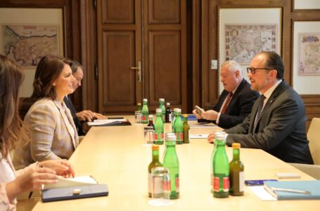 خلال لقائه المنقوش وزير خارجية النمسا يؤكد دعم بلاده والاتحاد الأوروبي للعملية السياسية بليبيا