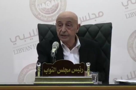 عقيلة صالح: شروط الترشح للانتخابات الرئاسية تركت لمجلس النواب الحالي