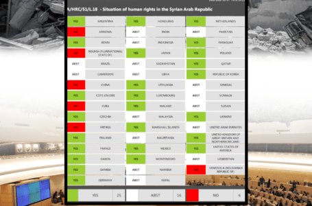 الشبكة السورية تأسف لامتناع ليبيا عن التصويت على قرار حول انتهاك حقوق الإنسان بسوريا