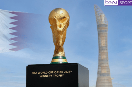 الإعلان عن البث المجاني لـ 22 مباراة بكأس العالم  2022