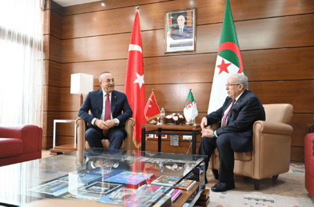 توافق تركي جزائري بشأن دعم الاستقرار وإجراء الانتخابات في ليبيا