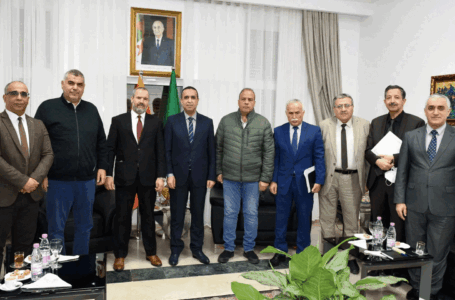 الكشف عن مقترح جزائري لتصدير الكهرباء إلى ليبيا