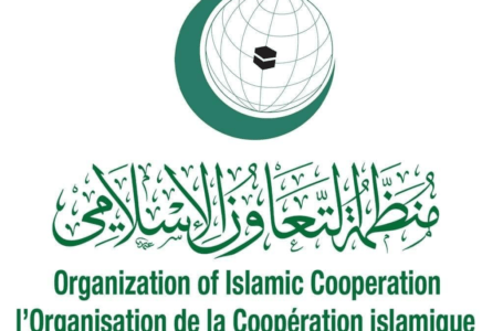 منظمة التعاون الإسلامي: نأمل أن تمهد نتائج لجنة 6 + 6 في إجراء الانتخابات الرئاسية والبرلمانية