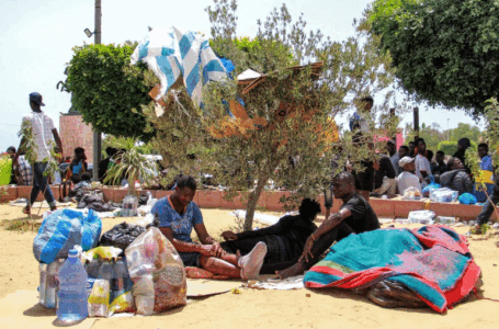 السلطات التونسية تبدأ بنقل مهاجرين أفارقة عالقين على الحدود مع ليبيـا لمراكز إيواء مؤقتة.