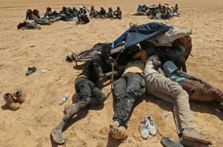 المنظمة العربية لحقوق الإنسان تحث على مساعدة المهاجرين الذين تم إنقاذهم على الحدود الليبيـة