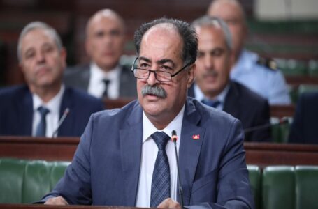 وزير الداخلية التونسي يؤكد أنّ الادعاءات بطرد المهاجرين إلى الحدود مع ليبيـا لا أساس لها