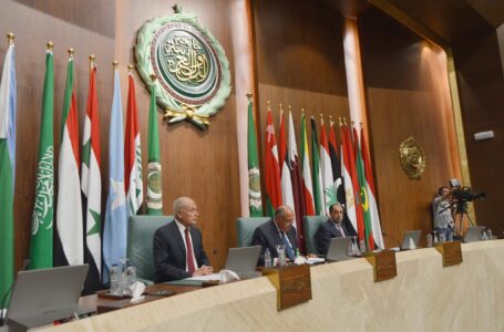 وزير الخارجية المصري يؤكد دعم مجلس الجامعة العربية للاستقرار في ليبيـا