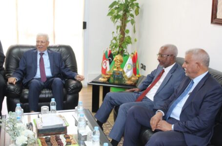 مجلس الدولة يبدي استعداده لحل العوائق التي تواجه اتحاد المغرب العربي