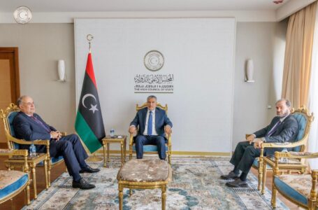 تكالة يبحث مع مستشار الأمن القومي الليبـي التحديات الانتخابية والأمنية