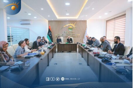 مجلس التطوير الاقتصادي والاجتماعي يبحث سُبل التعاون مع منظمة العمل الدولية