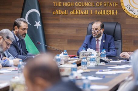 رئاسة المجلس الأعلى للدولة تجتمع باللجان الدائمة لتفعيلها وضبط اجتماعاتها الدورية